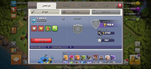 قرية تاون هول 12