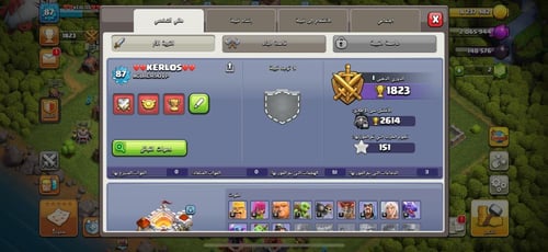 قرية تاون هول 11