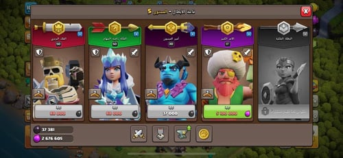 قرية تاون هول 11