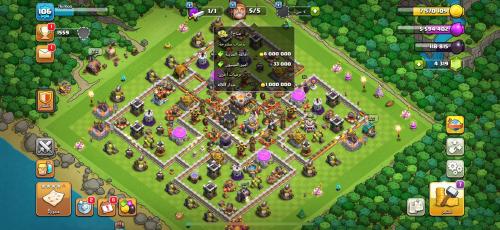 قرية تاون هول 11