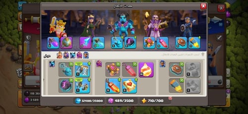 قرية تاون هول 13