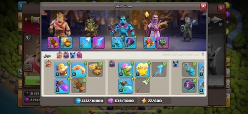 قرية تاون هول 12