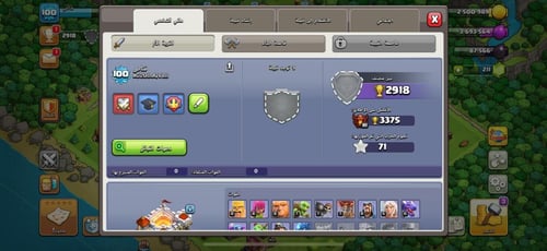 قرية تاون هول 11