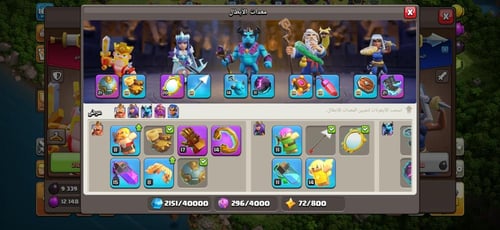 قرية تاون هول 14