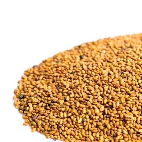 بذور البرسيم الأمريكي