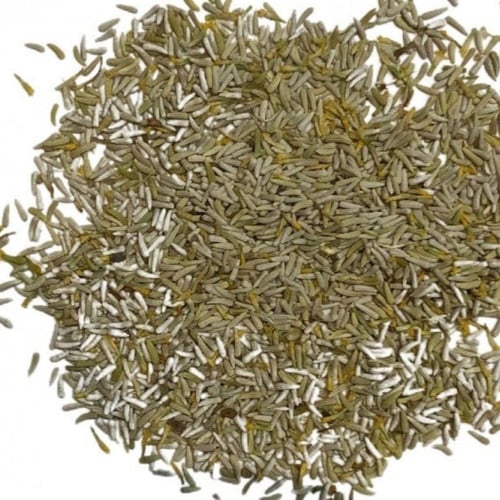 بذور القحويان