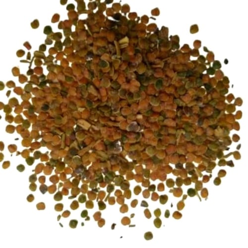 بذور المنثور | أحمر