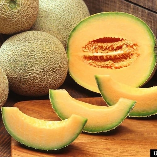 بذور الشمام الإيراني