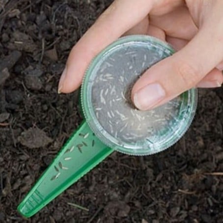 موزع البذور