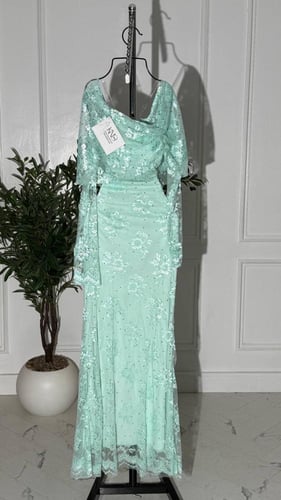 فستان دانتيل تيفاني أنيق مزين بفصوص براقة.