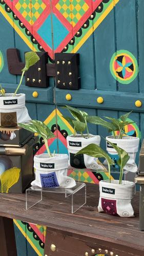 اصيص اليوم الوطني السعودي 95