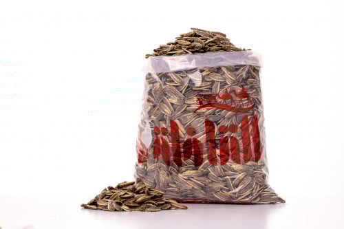 حب شمس مالح