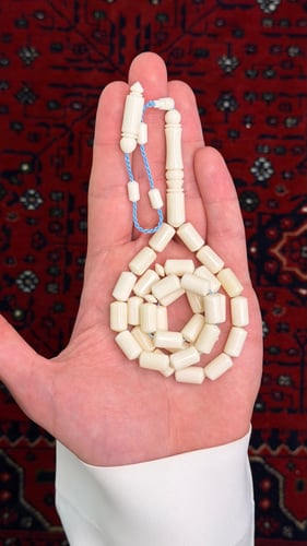 عظم جمل اسطواني