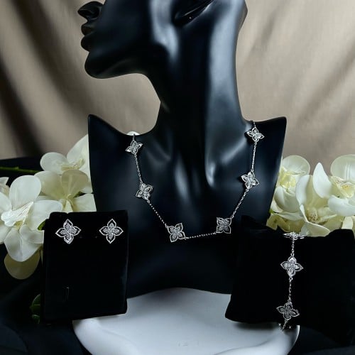 طقم ربرتوكوين فضي (10وردات)