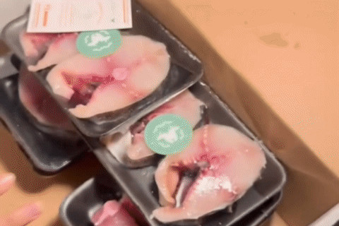 بوكس الضيرك التوفيري