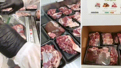 نص ذبيحة بلدي