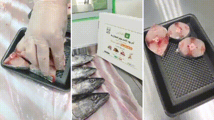 بوكس الضيرك التوفيري