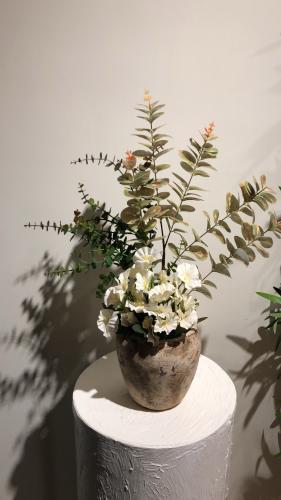 فازه كلاسيك