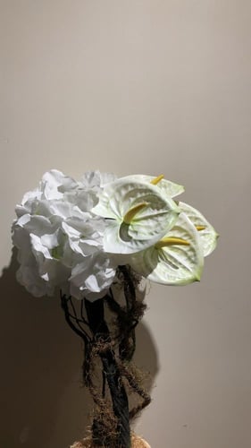 فازه كلاسيك