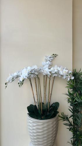 فازه كلاسيك فاخره