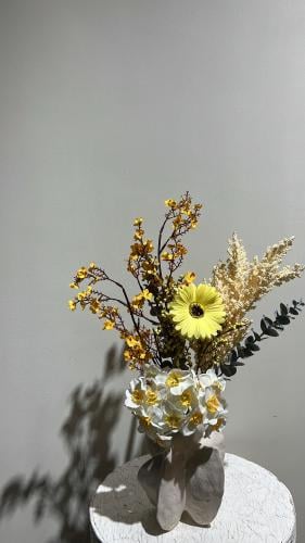 فازه كلاسيك