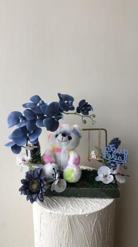 هدية مواليد