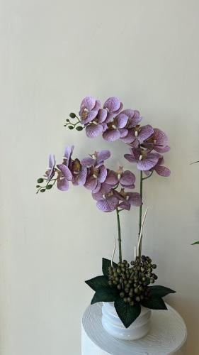 فازه كلاسيك