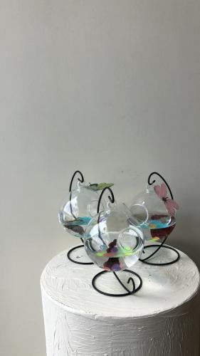 حوض سمك فاخر