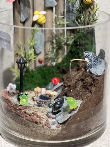 حدائق الأكواريوم المصغّرة