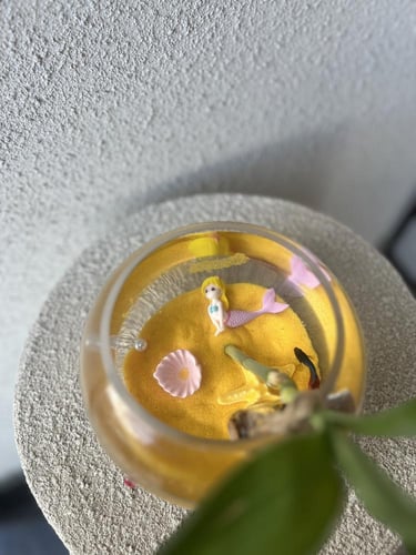 تنسيق حوض سمك فاخر