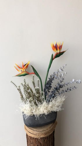 فازه كلاسيك