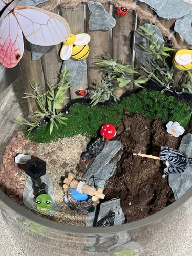 حدائق الأكواريوم المصغّرة