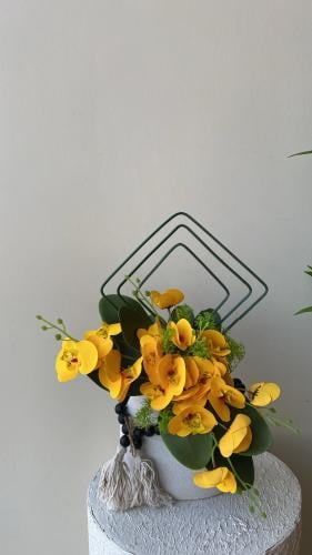 فازه كلاسيك