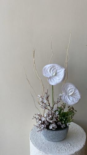 فازه كلاسيك