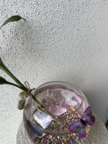 تنسيق حوض سمك فاخر