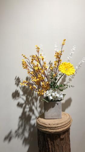 فازه كلاسيك