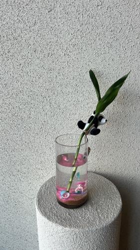 تنسيق حوض سمك فاخر