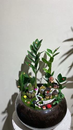 نبتة التين بشكل فاخر