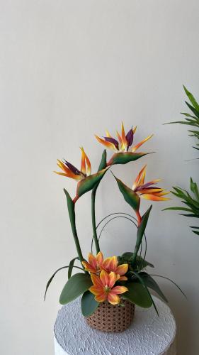 فازه كلاسيك