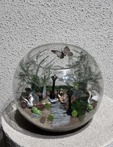 حدائق الأكواريوم المصغّرة