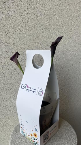 نبتة الكالا مع بكج فاخر