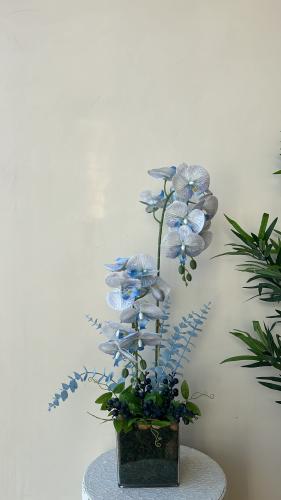 فازه كلاسيك