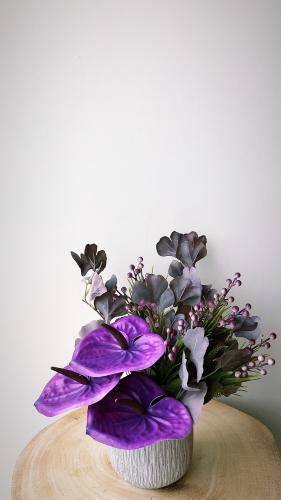 فازه كلاسيك