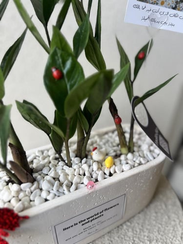 نبتة بتنسيق فاخر