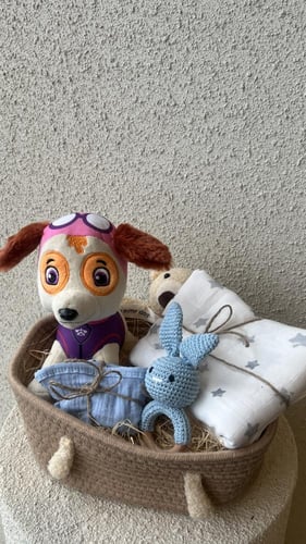 سلة مواليد فاخره