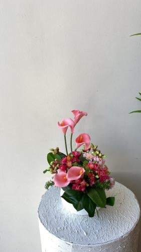 فازه كلاسيك