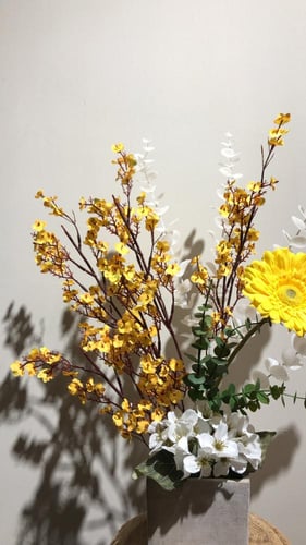 فازه كلاسيك