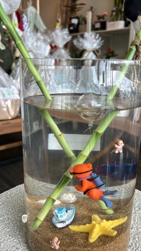 تنسيق حوض سمك فاخر