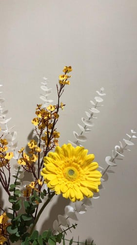 فازه كلاسيك