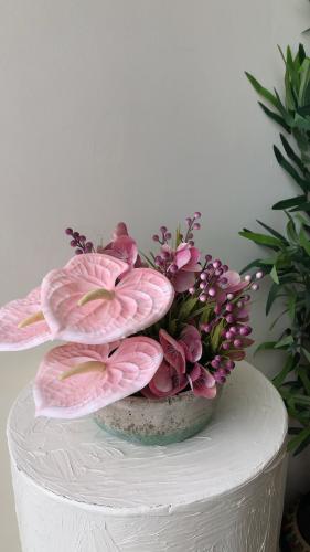 فازه كلاسيك